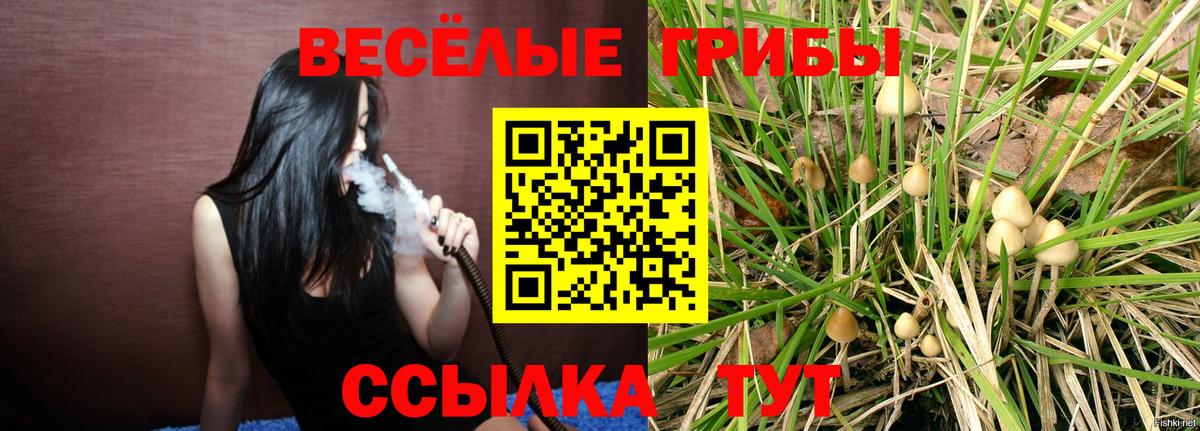 Выкса  Псилоцибиновые грибы прущие грибы  Вход с VPN 