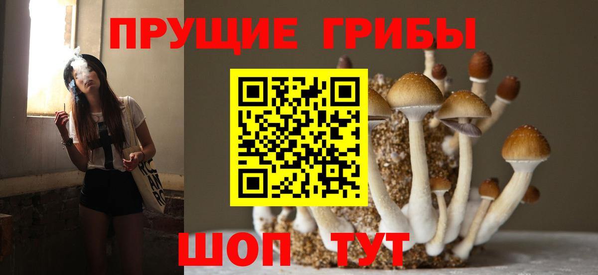 Галлюциногенные грибы Psilocybine cubensis Выкса